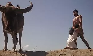 طفل كبير الأنين في الحفرة اجمل سكس مترجم عربي