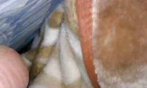 شقراء مع كبير احدث افلام السكس المترجمه الثدي اتصال الجيران.